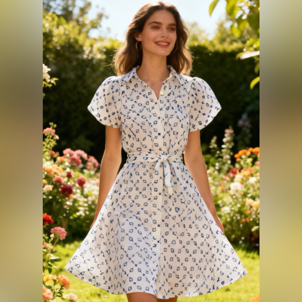 Alexis White Dress with Blue Embroidery
